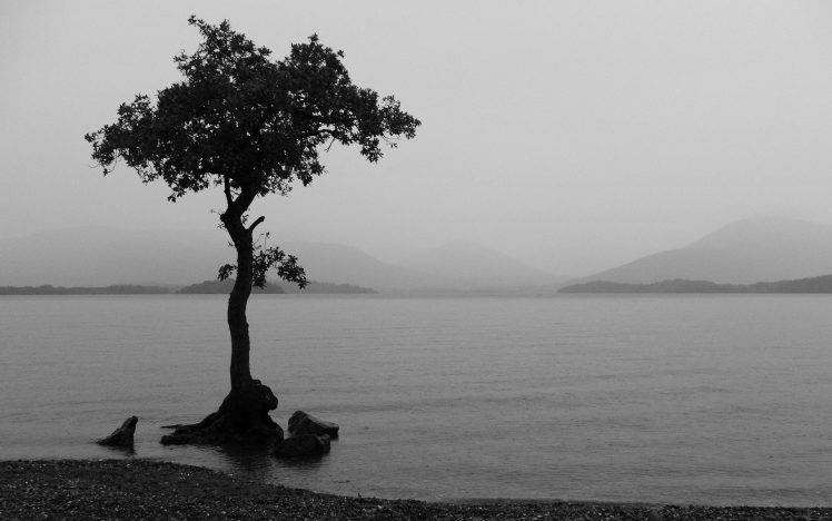 landscape, Nature, Monochrome, Trees, Lake, Mist, Hill, Overcast, Water, Calm HD Wallpaper Desktop Background