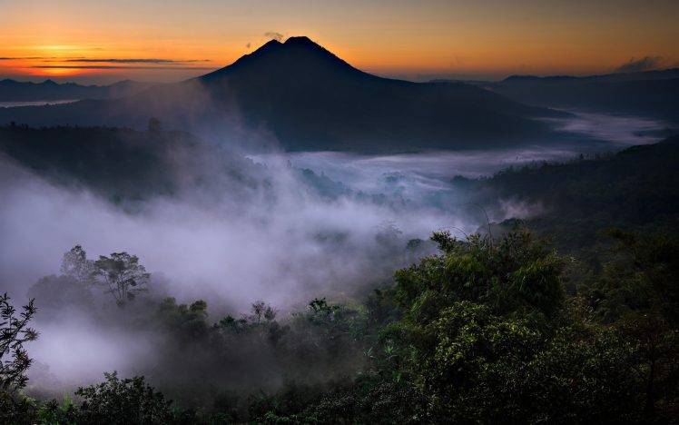 nature, Landscape, Mist, Mountain, Valley, Volcano, Forest, Sunrise, Bali, Indonesia HD Wallpaper Desktop Background