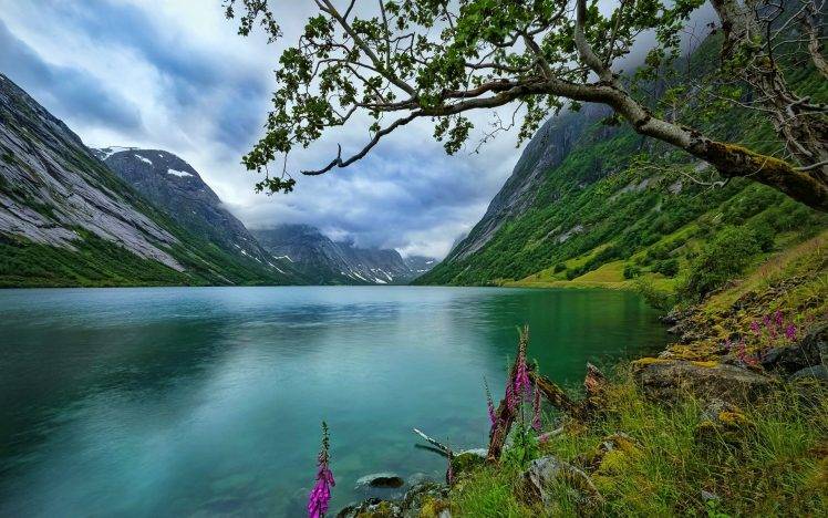 nature, Landscape, Lake, Wildflowers, Trees, Norway, Grass, Clouds, Summer, Water HD Wallpaper Desktop Background