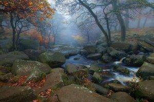 landscape, Nature, Trees, Fall, Leaves, River, Morning, Mist, Stones, Water