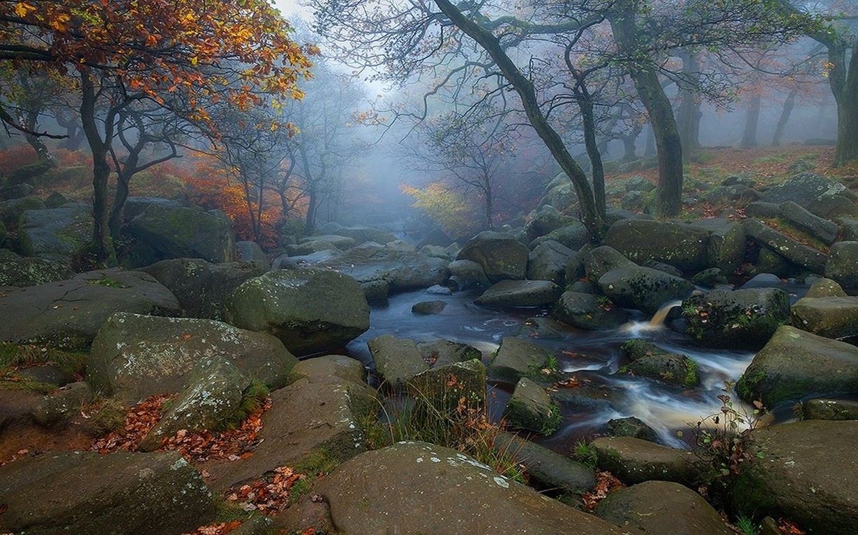 landscape, Nature, Trees, Fall, Leaves, River, Morning, Mist, Stones, Water Wallpaper