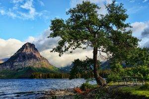 nature, Landscape, Mountain, Water, Lake, Trees, Montana, USA, Glacier National Park, Bench, Clouds, Forest, Hill