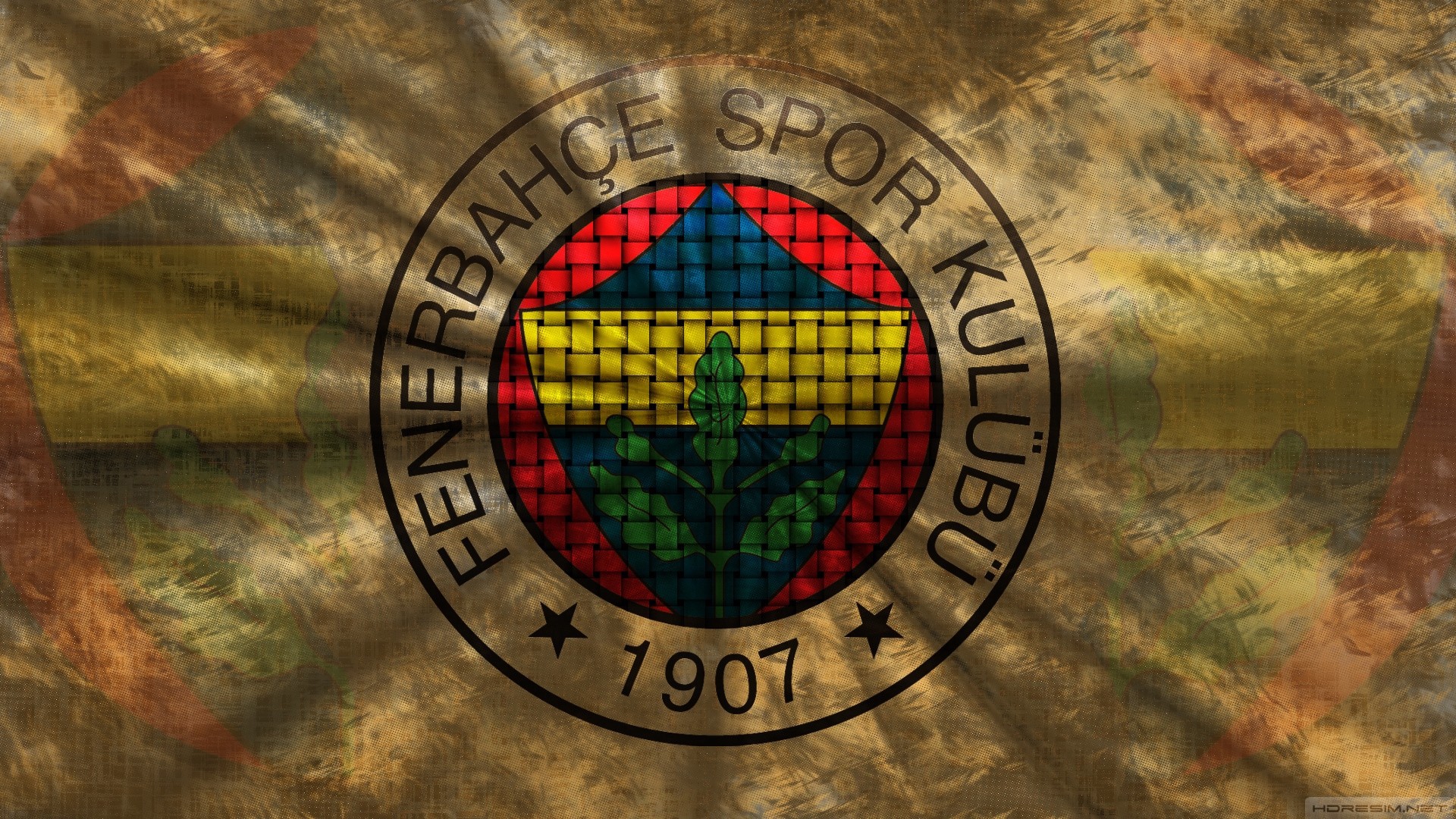 Fenerbahçe, 1907, Soccer Clubs Wallpapers HD / Desktop and Mobile