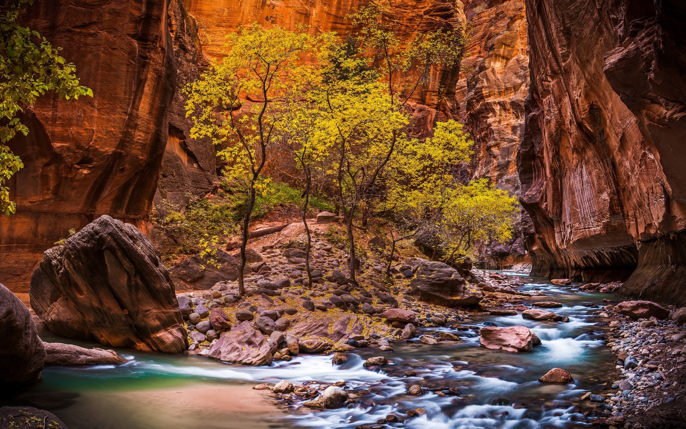 landscape, Nature, Zion National Park, River, Canyon, Utah, Trees, Erosion, Red, USA, National Park, Stones, Pebbles, Rock, Valley, HDR, Stream Wallpaper