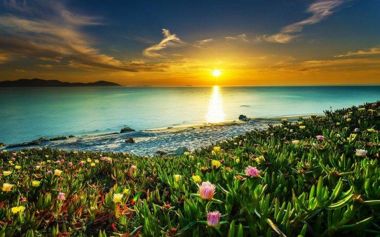 landscape, Nature, Beach, Sunset, Clouds, Sea, Sky, Flowers, Water, Colorful, Coast, Calm, Sunlight HD Wallpaper Desktop Background