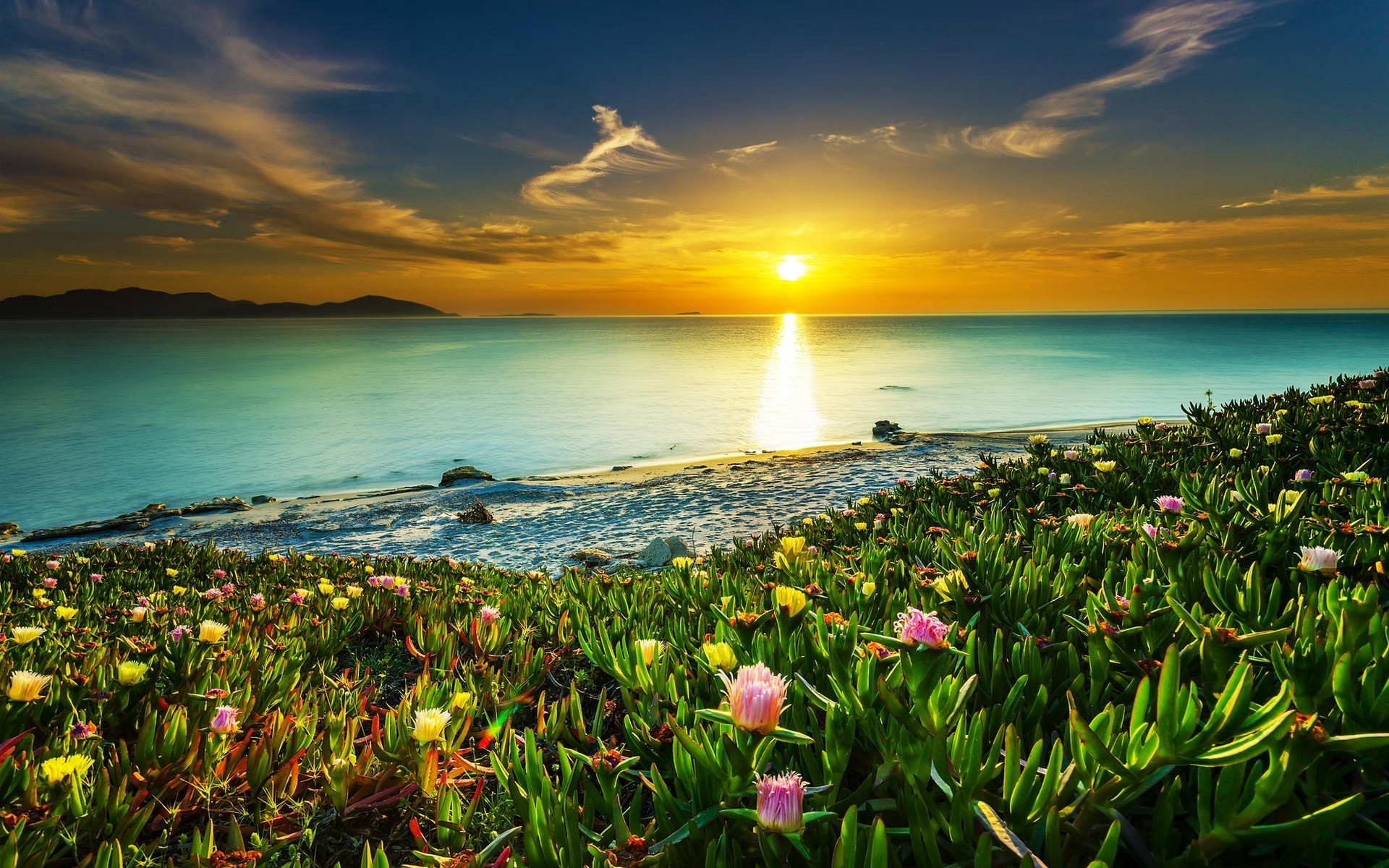 Landscape Nature Beach Sunset Clouds Sea Sky Flowers Water