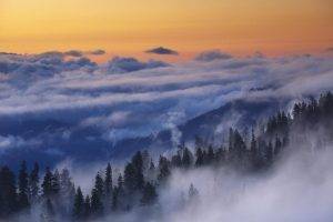 nature, Landscape, Yosemite National Park, Mist, Forest, Clouds, Trees, Mountain, Sunrise, Morning