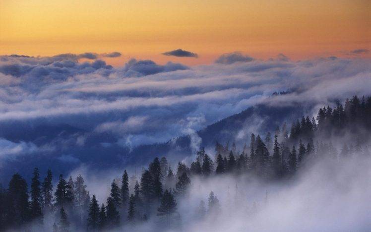 nature, Landscape, Yosemite National Park, Mist, Forest, Clouds, Trees, Mountain, Sunrise, Morning HD Wallpaper Desktop Background