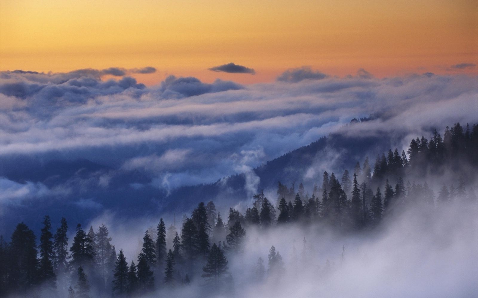 nature, Landscape, Yosemite National Park, Mist, Forest, Clouds, Trees, Mountain, Sunrise, Morning Wallpaper