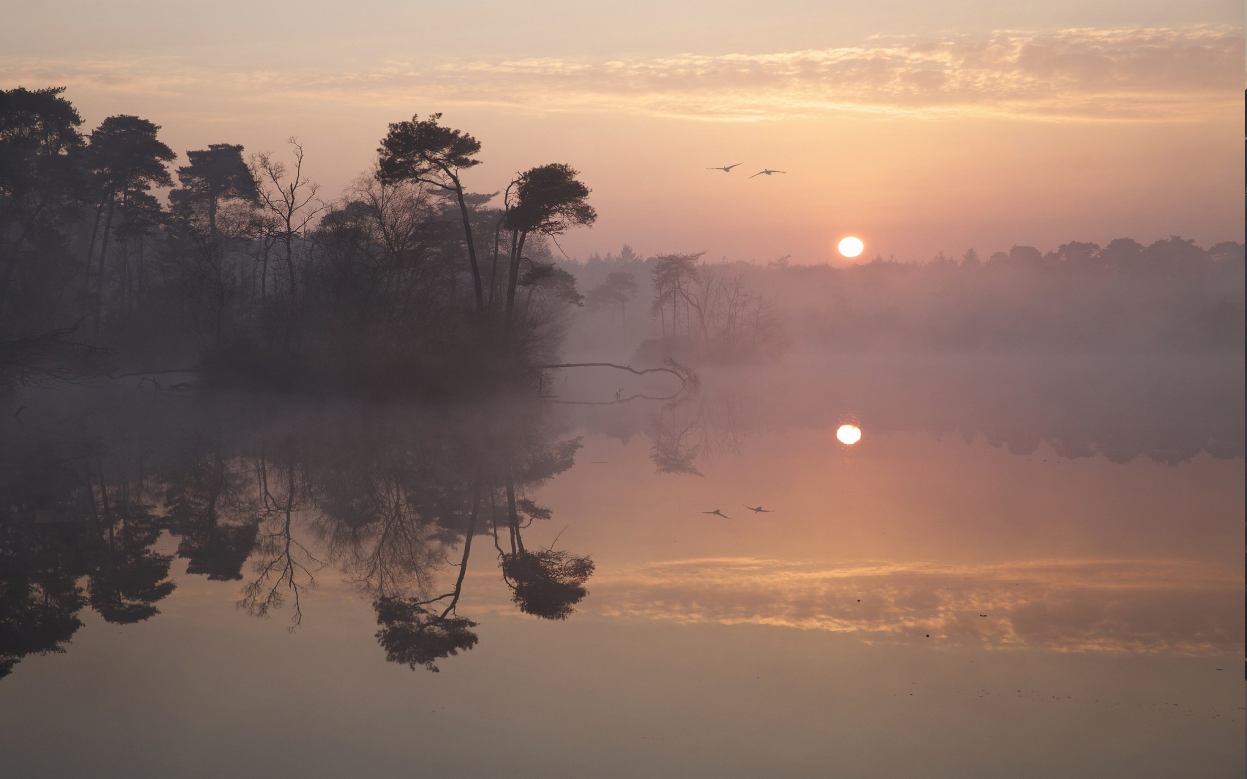 nature, Landscape, Reflection, Sunrise, Lake, Birds, Flying, Mist, Trees, Clouds, Water Wallpaper