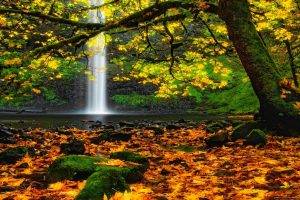 landscape, Nature, Waterfall, Oregon, Moss, Leaves, Trees, Colorful