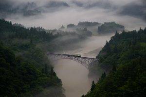 landscape, Nature, Mist, Morning, Train, Bridge, Forest, Mountain, Trees
