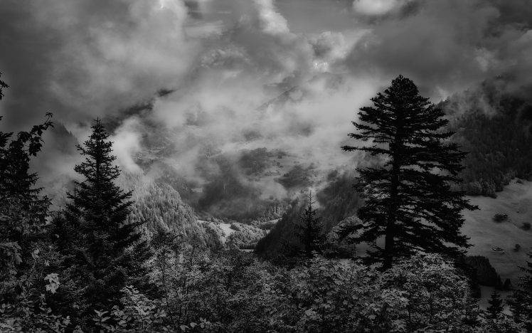 nature, Landscape, Monochrome, Mountain, Forest, Clouds, Storm, Trees HD Wallpaper Desktop Background