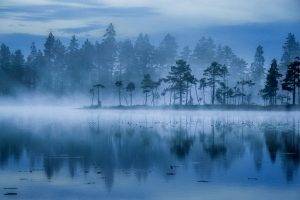 landscape, Nature, Lake, Mist, Trees, Sunrise, Blue, Water, Finland