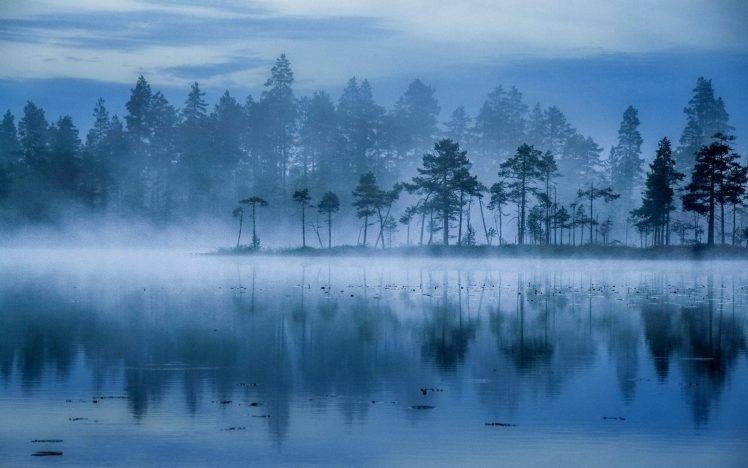 landscape, Nature, Lake, Mist, Trees, Sunrise, Blue, Water, Finland HD Wallpaper Desktop Background