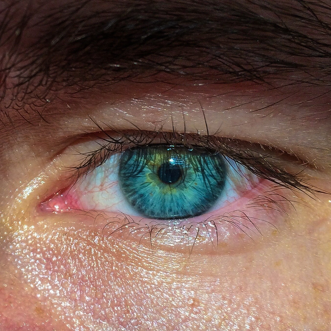 Голубо-зеленый цвет глаз