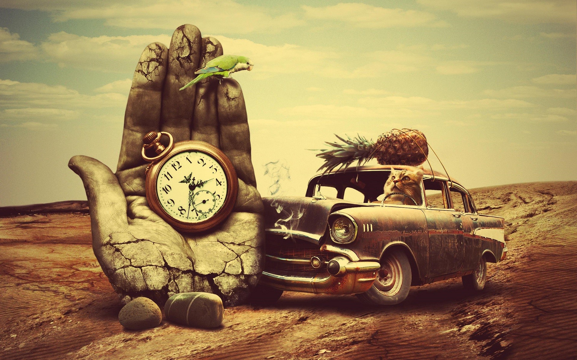 car, Old Car, Hand, Clocks, Birds, Parrot, Cat, Pineapples, Smoke, Desert, Animals, Surreal, Stones, Rock, Fruit Wallpaper