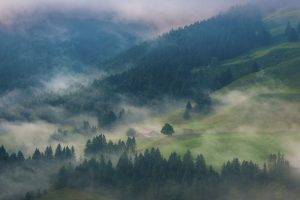 nature, Landscape, Morning, Mist, Mountain, Forest, Trees, Cabin