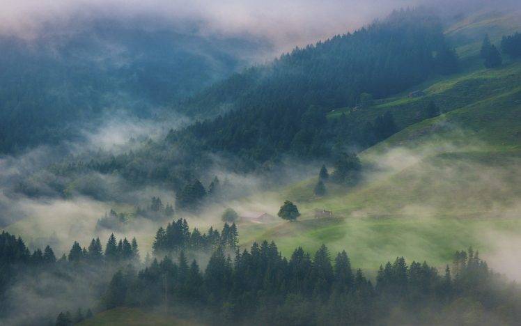 nature, Landscape, Morning, Mist, Mountain, Forest, Trees, Cabin HD Wallpaper Desktop Background