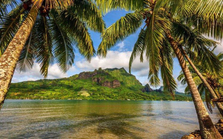 nature, Landscape, Clouds, Sky, Island, Bora Bora, Palm Trees, Sea, Bay, Mountain, Tropical HD Wallpaper Desktop Background