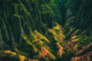 nature, Landscape, Mountain, Valley, Shrubs, Kauai, Hawaii, Island, Cliff