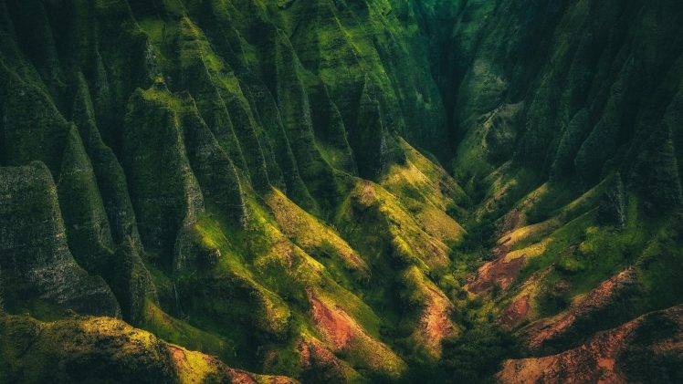 nature, Landscape, Mountain, Valley, Shrubs, Kauai, Hawaii, Island, Cliff HD Wallpaper Desktop Background