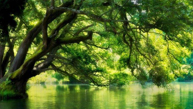 landscape, Nature, River, Macedonia, Forest, Green, Water, Trees HD Wallpaper Desktop Background