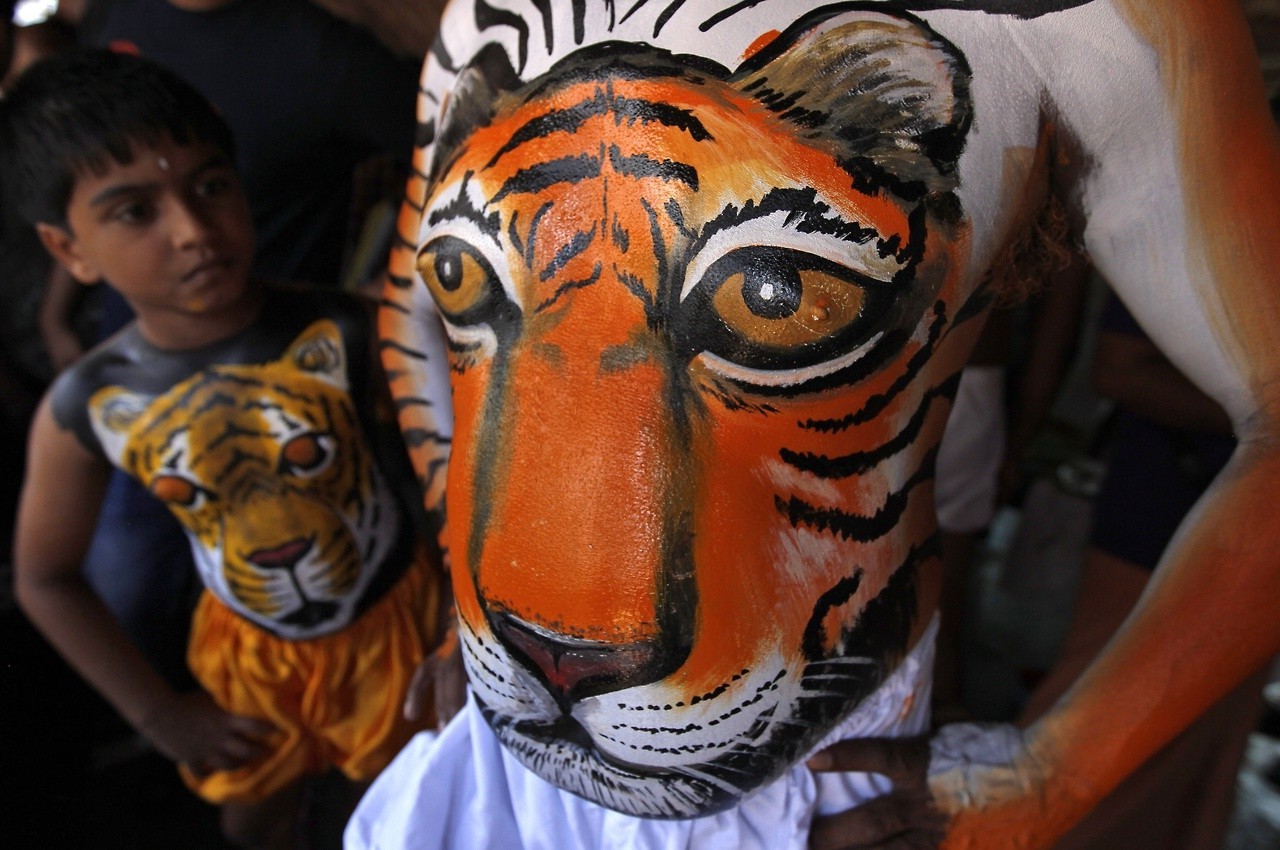 tiger, Body Paint, Children Wallpaper