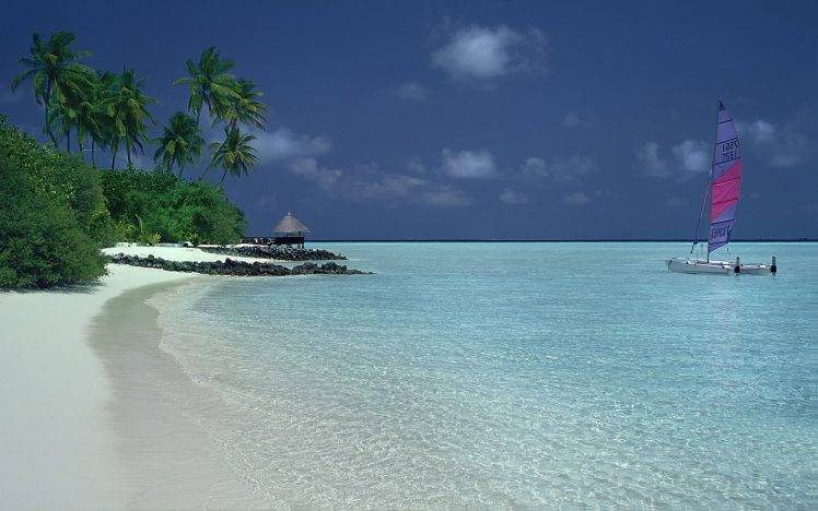 nature, Landscape, Catamaran, Beach, Palm Trees, Sand, Shrubs, Tropical, Island, Sea, Summer HD Wallpaper Desktop Background