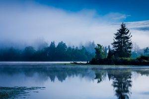 lake, Morning, Mist, Blue, Forest, Water, Reflection, Washington State, Nature, Sunrise, Landscape, Trees