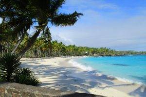 landscape, Nature, Beach, Sand, Sea, Palm Trees, Morning, Island, Tropical, Turquoise, Water