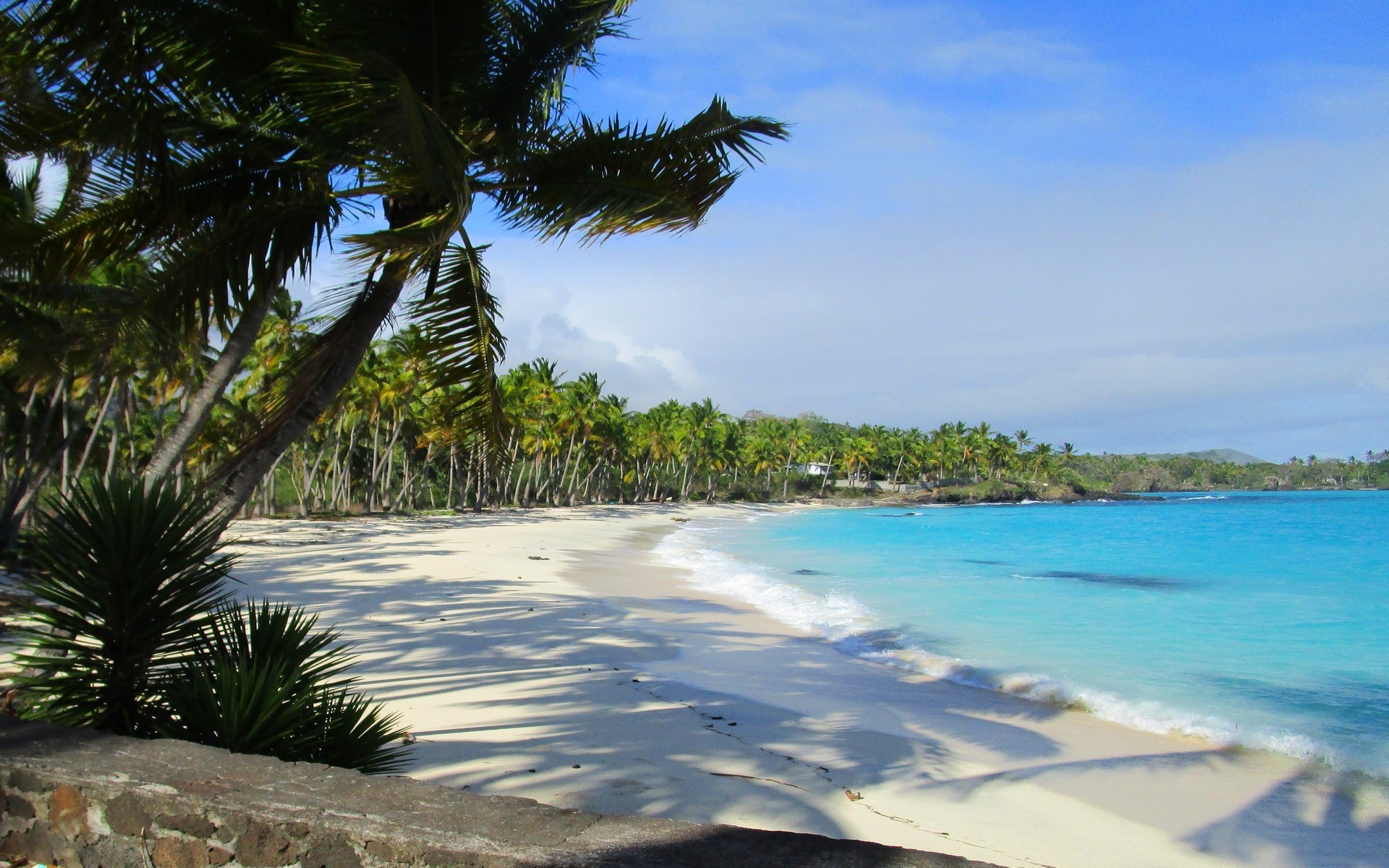 landscape, Nature, Beach, Sand, Sea, Palm Trees, Morning ...