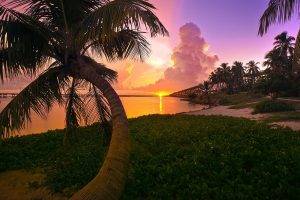 landscape, Nature, Beach, Sunset, Palm Trees, Sea, Sky, Clouds, Florida