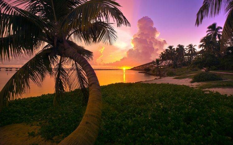 landscape, Nature, Beach, Sunset, Palm Trees, Sea, Sky, Clouds, Florida HD Wallpaper Desktop Background