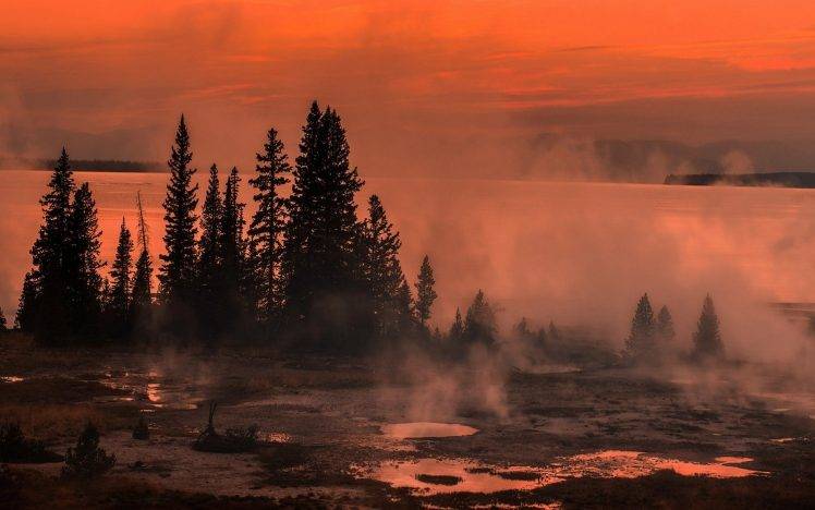 lake, Sunrise, Mist, Nature, Yellowstone National Park, Trees, Shrubs, Puddle, Landscape HD Wallpaper Desktop Background