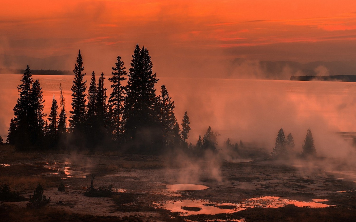 lake, Sunrise, Mist, Nature, Yellowstone National Park, Trees, Shrubs, Puddle, Landscape Wallpaper