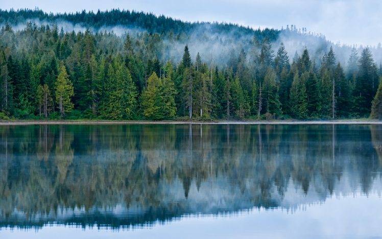 mist, Reflection, Lake, Forest, Sunrise, Water, Blue, Trees, Hill, Green, Nature, Landscape HD Wallpaper Desktop Background