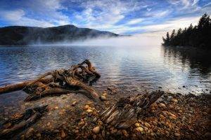 landscape, Nature, Morning, Lake, Mist, Trees, Hill, Clouds, Water, Stones