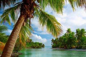 beach, Tropical, Summer, Sea, Nature, Island, Palm Trees, Landscape, Clouds, French Polynesia, Vacations