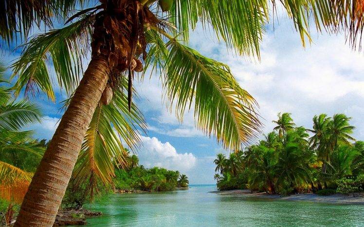 beach, Tropical, Summer, Sea, Nature, Island, Palm Trees, Landscape, Clouds, French Polynesia, Vacations HD Wallpaper Desktop Background