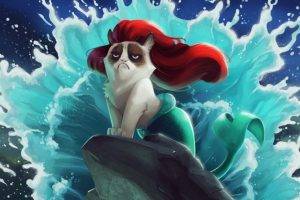 cat, Grumpy Cat, The Little Mermaid, Disney, Humor