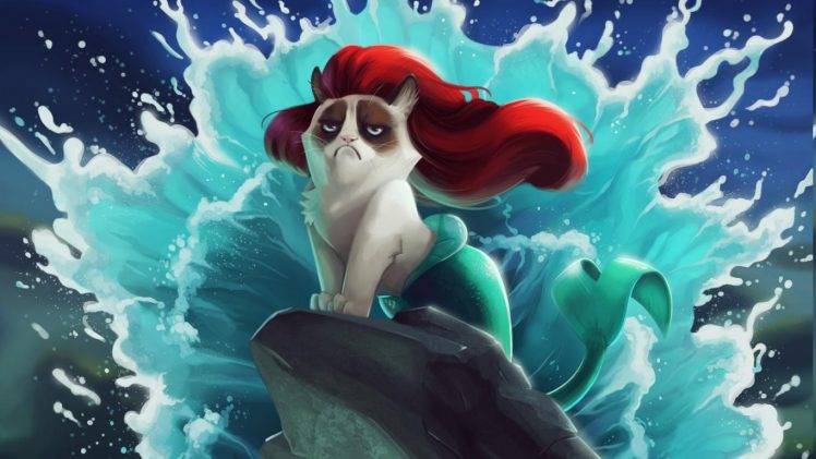 cat, Grumpy Cat, The Little Mermaid, Disney, Humor HD Wallpaper Desktop Background