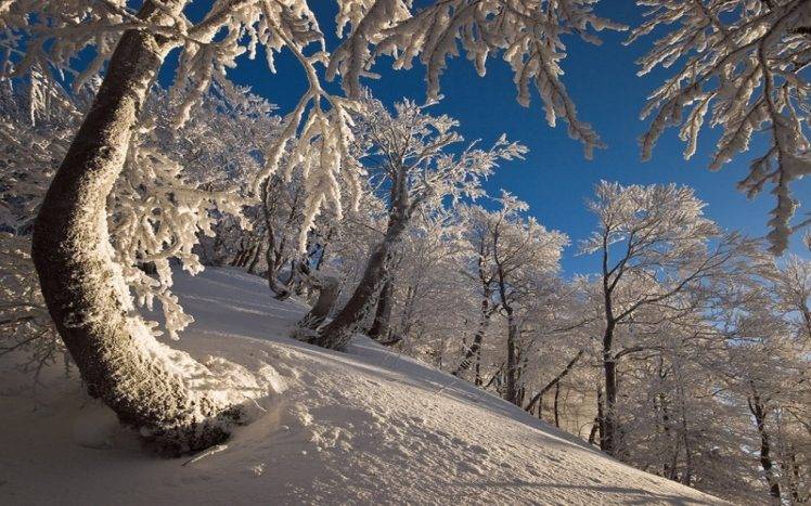 nature, Landscape, Winter, Forest, Snow, Mountain, Morning, White, Trees HD Wallpaper Desktop Background