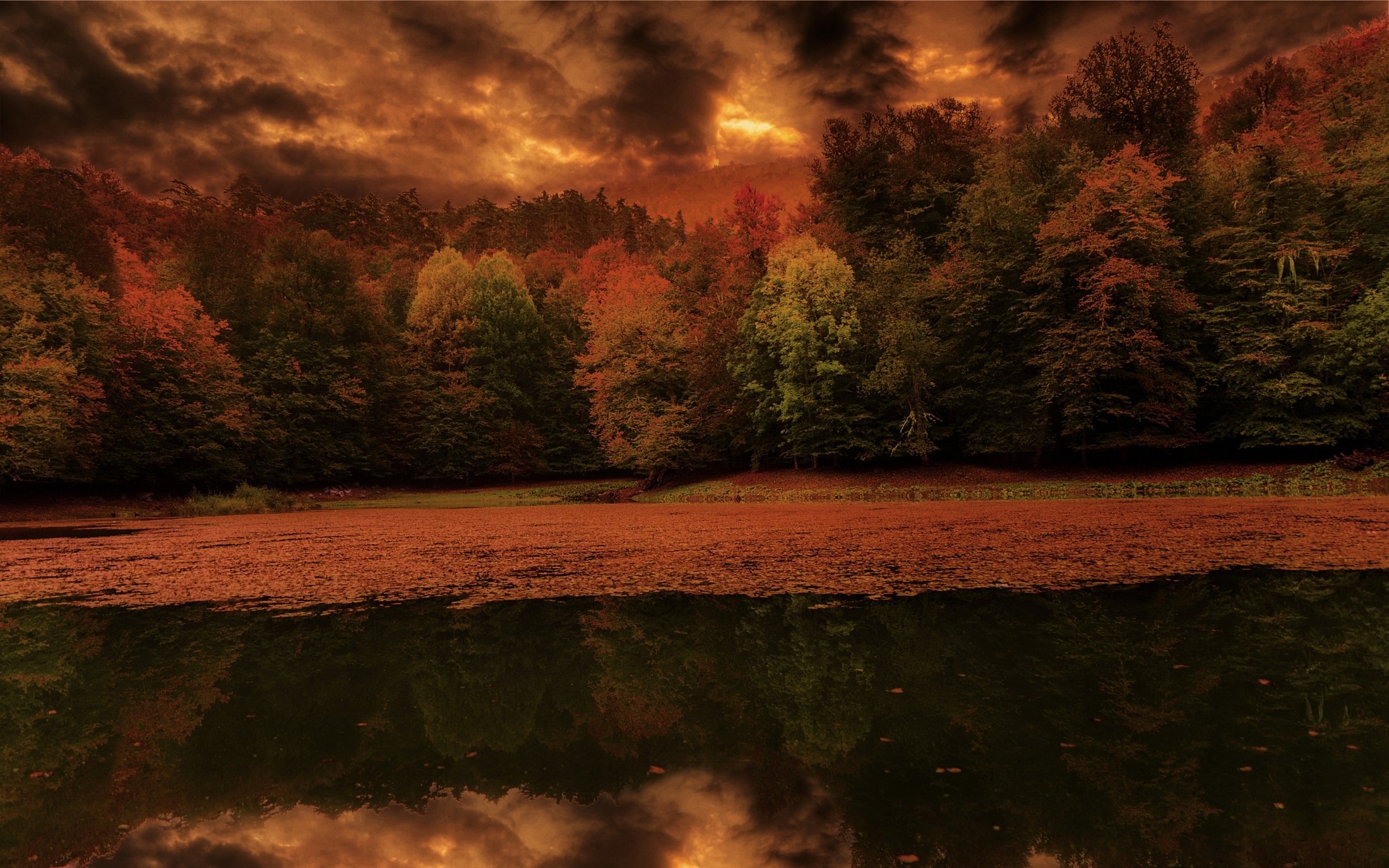 nature, Landscape, Lake, Leaves, Forest, Fall, Sunset, Sky, Trees, Clouds, Water, Reflection Wallpaper
