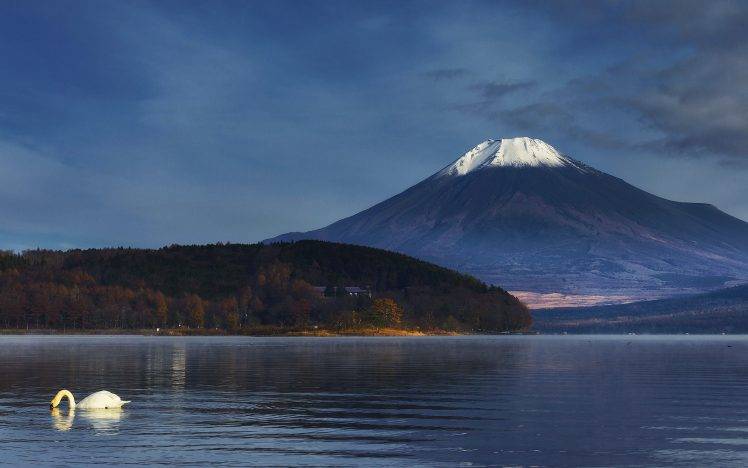 nature, Landscape, Mountain, Volcano, Snowy Peak, Mount Fuji, Japan, Lake, Swans, Trees, Water, Fall HD Wallpaper Desktop Background