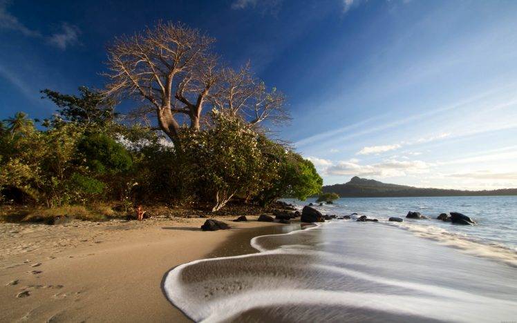 nature, Landscape, Beach, Sea, Sand, Sunset, Trees, Shrubs, Island HD Wallpaper Desktop Background