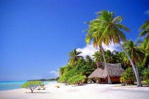 nature, Landscape, Cabin, Tropical, Beach, Sea, Palm Trees, Sand, Summer, Vacations
