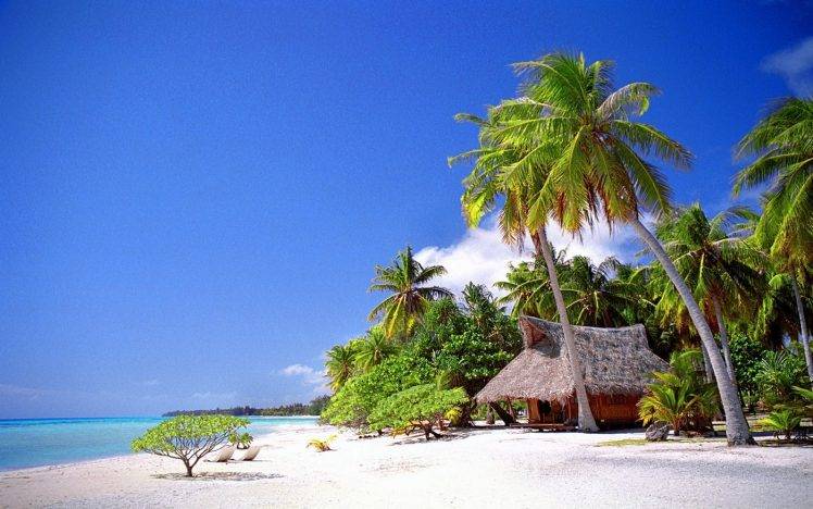 nature, Landscape, Cabin, Tropical, Beach, Sea, Palm Trees, Sand, Summer, Vacations HD Wallpaper Desktop Background