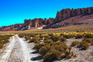 nature, Landscape, Atacama Desert, Shrubs, Panoramas, Chile, Dirt Road, Rock