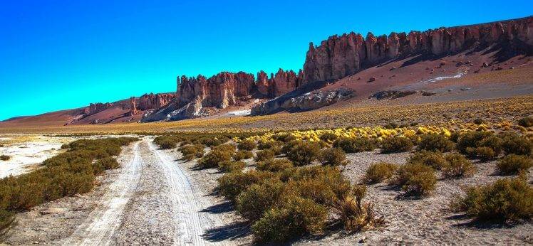 nature, Landscape, Atacama Desert, Shrubs, Panoramas, Chile, Dirt Road, Rock HD Wallpaper Desktop Background